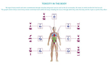 Load image into Gallery viewer, Which organs do heavy metals affect? Advanced TRS